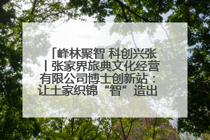峰林聚智 科创兴张丨张家界旅典文化经营有限公司博士创新站：让土家织锦“智”造出非遗新传奇