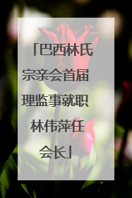 巴西林氏宗亲会首届理监事就职 林伟萍任会长