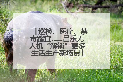 巡检、医疗、禁毒踏查……昌乐无人机“解锁”更多生活生产新场景