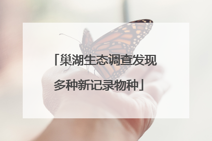 巢湖生态调查发现多种新记录物种