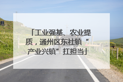 工业强基、农业提质，通州区东社镇“产业兴镇”扛担当