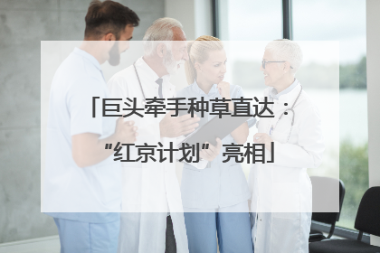 巨头牵手种草直达：“红京计划”亮相