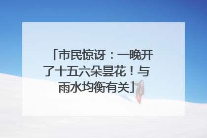 市民惊讶：一晚开了十五六朵昙花！与雨水均衡有关
