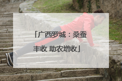 广西罗城：桑蚕丰收 助农增收