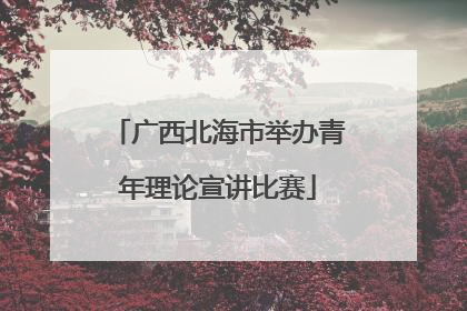 广西北海市举办青年理论宣讲比赛