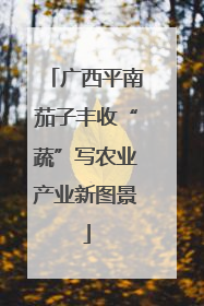 广西平南茄子丰收“蔬”写农业产业新图景