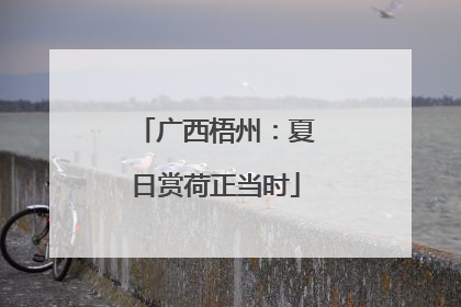 广西梧州：夏日赏荷正当时