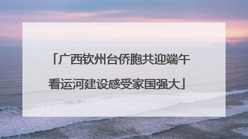 广西钦州台侨胞共迎端午 看运河建设感受家国强大