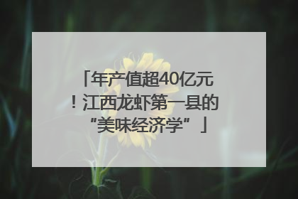 年产值超40亿元！江西龙虾第一县的“美味经济学”