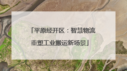平原经开区：智慧物流重塑工业搬运新场景