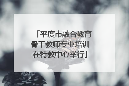 平度市融合教育骨干教师专业培训在特教中心举行