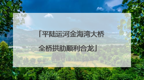 平陆运河金海湾大桥全桥拱肋顺利合龙