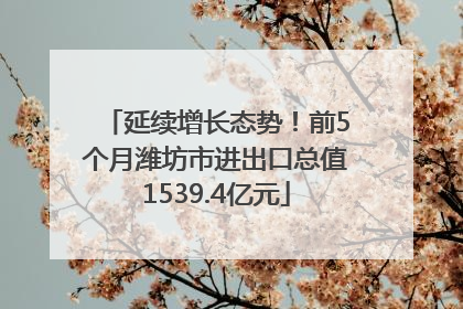 延续增长态势！前5个月潍坊市进出口总值1539.4亿元