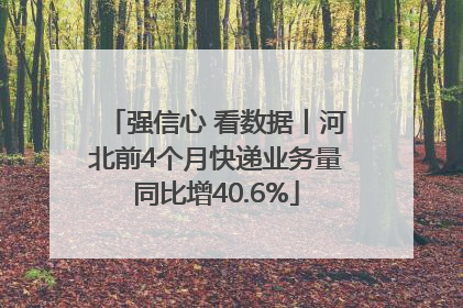 强信心 看数据丨河北前4个月快递业务量同比增40.6%