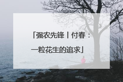 强农先锋丨付春：一粒花生的追求