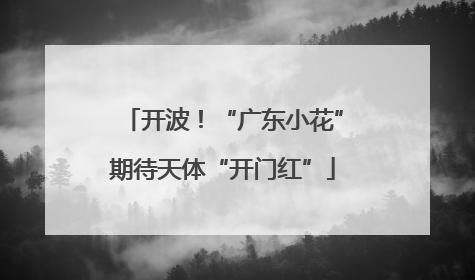 开波！“广东小花”期待天体“开门红”