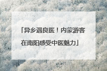 异乡遇良医！内蒙游客在南阳感受中医魅力