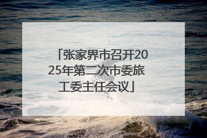 张家界市召开2025年第二次市委旅工委主任会议