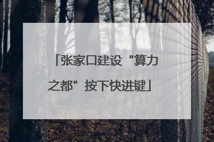 张家口建设“算力之都”按下快进键