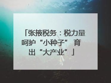 张掖税务：税力量呵护“小种子” 育出“大产业”