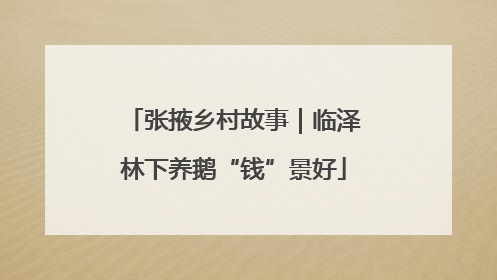张掖乡村故事｜临泽林下养鹅“钱”景好