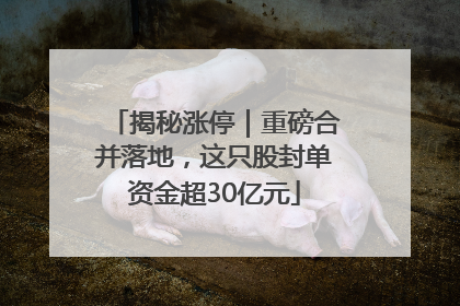 揭秘涨停｜重磅合并落地，这只股封单资金超30亿元