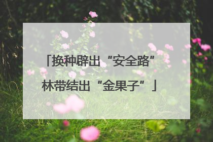 换种辟出“安全路” 林带结出“金果子”