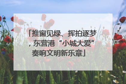 推窗见绿、挥拍逐梦，东营港“小城大爱”奏响文明新乐章