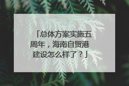 总体方案实施五周年，海南自贸港建设怎么样了？