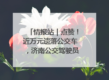情报站｜点赞！近万元遗落公交车，济南公交驾驶员乘客接力还失主