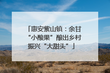 惠安紫山镇：余甘“小酸果”酿出乡村振兴“大甜头”