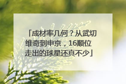 成材率几何？从武切维奇到申京，16顺位走出的球星还真不少