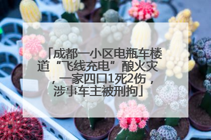 成都一小区电瓶车楼道“飞线充电”酿火灾，一家四口1死2伤，涉事车主被刑拘