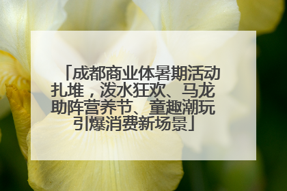 成都商业体暑期活动扎堆，泼水狂欢、马龙助阵营养节、童趣潮玩引爆消费新场景