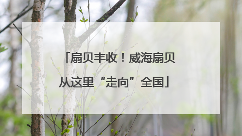 扇贝丰收！威海扇贝从这里“走向”全国