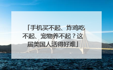 手机买不起、炸鸡吃不起、宠物养不起？这届美国人活得好难