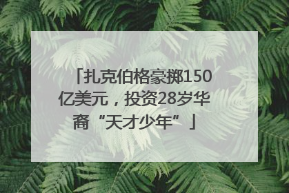 扎克伯格豪掷150亿美元，投资28岁华裔“天才少年”