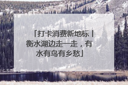 打卡消费新地标丨衡水湖边走一走，有水有鸟有乡愁