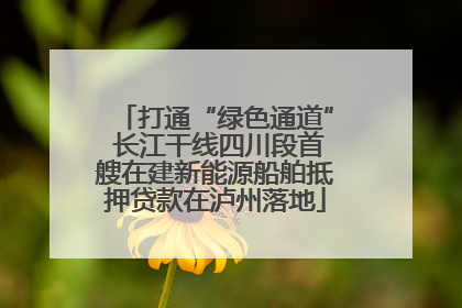 打通“绿色通道” 长江干线四川段首艘在建新能源船舶抵押贷款在泸州落地