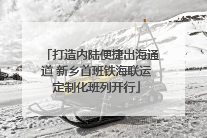 打造内陆便捷出海通道 新乡首班铁海联运定制化班列开行