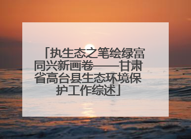 执生态之笔绘绿富同兴新画卷——甘肃省高台县生态环境保护工作综述