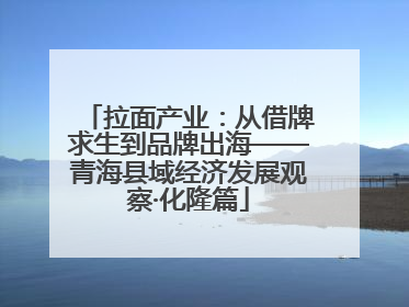 拉面产业：从借牌求生到品牌出海——青海县域经济发展观察·化隆篇
