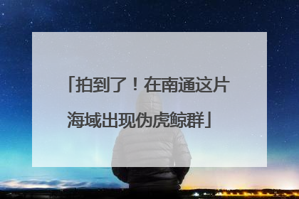 拍到了！在南通这片海域出现伪虎鲸群
