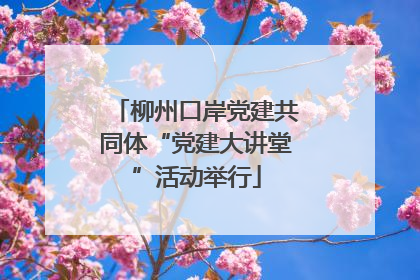 柳州口岸党建共同体“党建大讲堂”活动举行