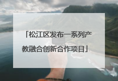松江区发布一系列产教融合创新合作项目