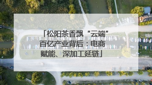 松阳茶香飘“云端” 百亿产业背后：电商赋能、深加工延链