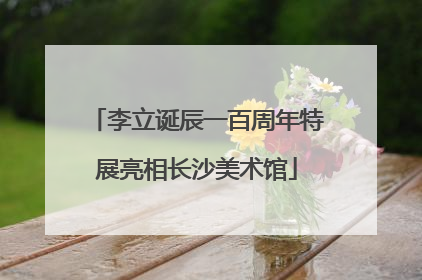 李立诞辰一百周年特展亮相长沙美术馆
