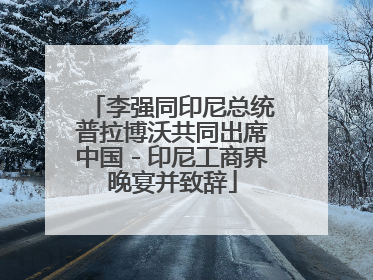 李强同印尼总统普拉博沃共同出席中国－印尼工商界晚宴并致辞