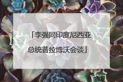 李强同印度尼西亚总统普拉博沃会谈
