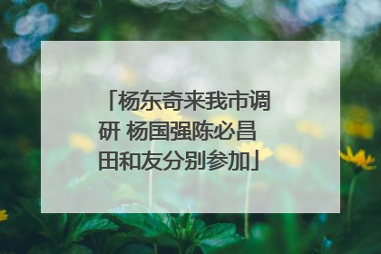 杨东奇来我市调研 杨国强陈必昌田和友分别参加